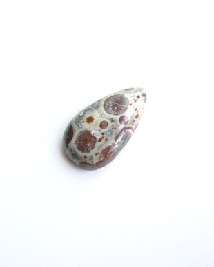 Caboson orbicular jasp (C40)