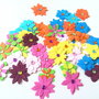 Set flori decupate din hartie colorata