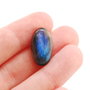 Cabochon Labradorit  oval- Albastru - M30