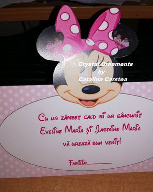 Plic de bani botez Minnie