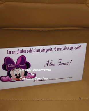 Plic de bani baby Minnie