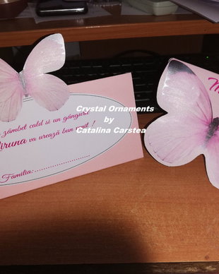 Set botez / Invitatie botez fluture / plic de bani fluture