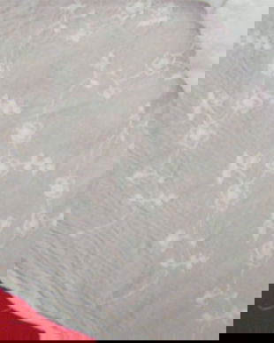 Panza topita-brodata