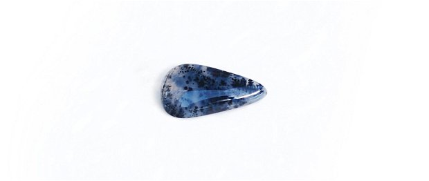 Cabochon  opal dendritic - M50