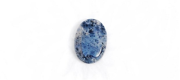 Cabochon  opal dendritic - O188