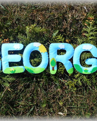Banner nume personalizat Natura 2