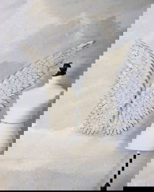 Doua aripi albe din fier forjat