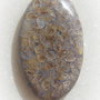 Cabochon coral fosil aprox 36x21x5 mm