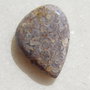Cabochon coral fosil aprox 27x20x5 mm
