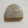 Cabochon coral fosil aprox 21x18.5x5 mm