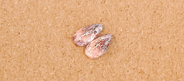 Pereche Jasper Leopard - cabochoane - N550