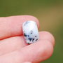 Cabochon  opal dendritic  - O024