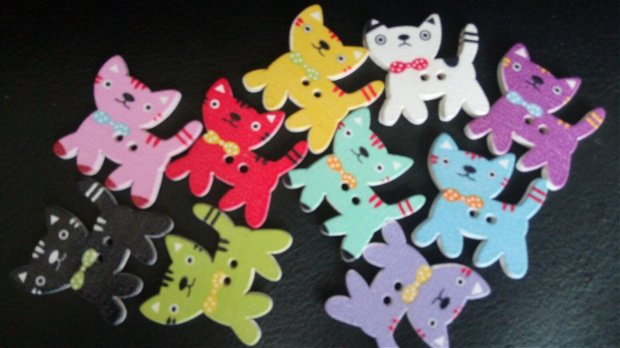 Nasturi din lemn  pisicuțe colorate