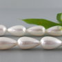 Perle seashell 10x18mm (1)