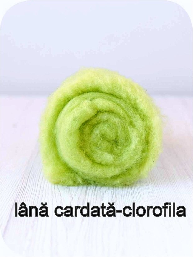 lana cardata- clorofila