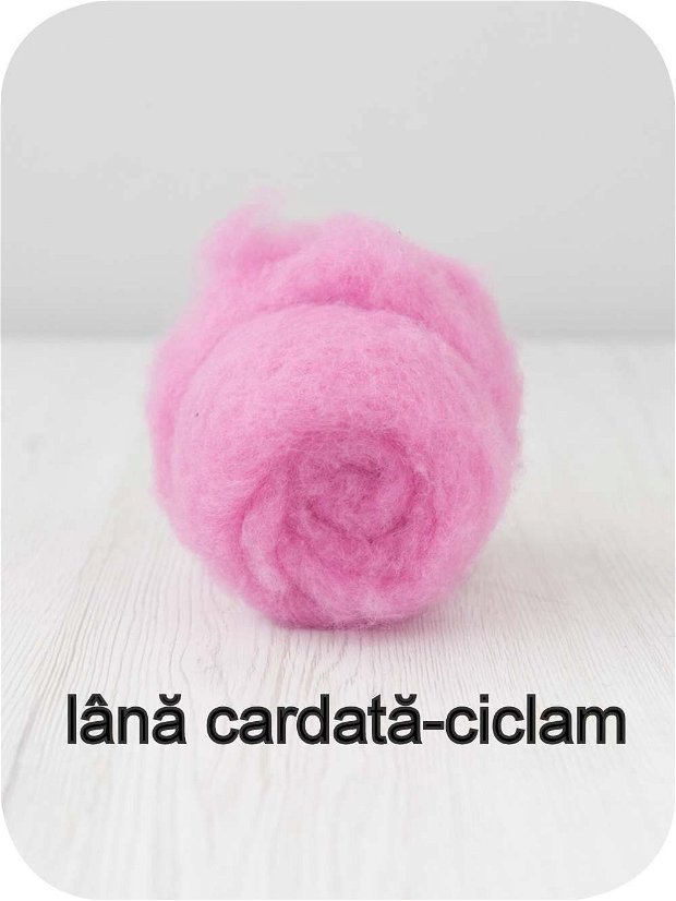 lana cardata- ciclam