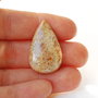Cabochon coral fosil - L42