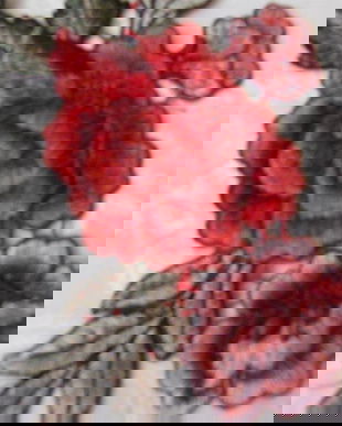 2 broderii  pt aplicatii