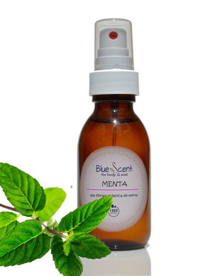 Apa florala organica de menta (Mentha piperita) -BlueScent