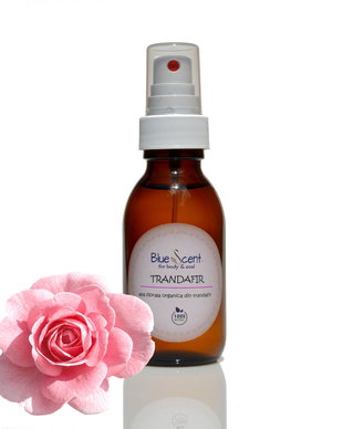 Apa florala de trandafir (rosa damascena)-BlueScent