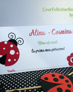 Plic de bani Buburuza/ Gargarita