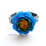 ''Blue Dream''- bratara