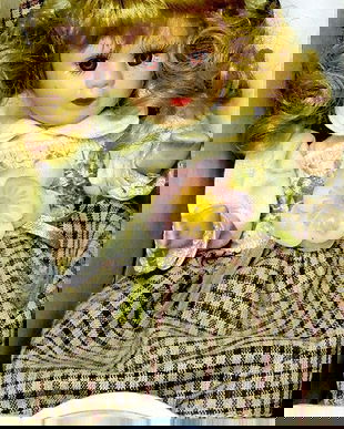 Papusa vintage (085)