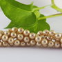 Perle seashell 6mm, cod P04 (1)
