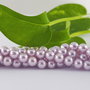Perle seashell 6mm, cod P722 (1sir)