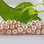 Perle seashell 6mm, cod P16 (1)