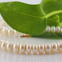 Perle cultura 7-8x4-5mm, cod ID45 (1)
