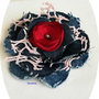 brosa denim