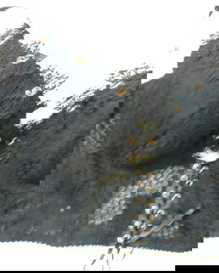 Nou-bustiera cu dantela