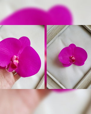 Flori de par