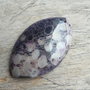 Pandantiv amonit fosil, 50x31 mm