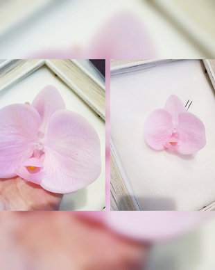 Floare de par