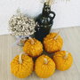 Set 5 dovlecei decorativi