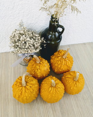 Set 5 dovlecei decorativi