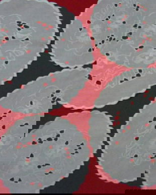 Set 4 mileuri brodate