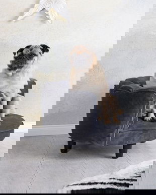 Canapea pentru animale din lemn masiv negru cu tapiterie gri