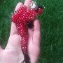 Brosa- Broscuta Rosie Fermecata