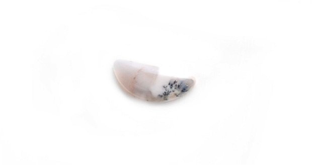 Cabochon  opal dendritic - B5