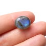 Cabochon Labradorit Albastru  - L45