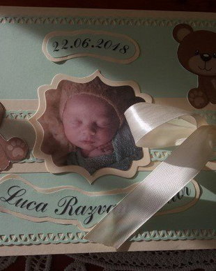 Guest book ursuleti