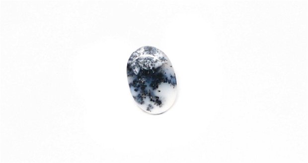Cabochon  opal dendritic - B21