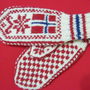 Manusi norvegiene -copii