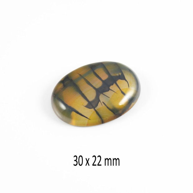 Cabochon Agat, 30 x 22 mm, CSP-130