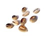 Link scoica spirala cowrie 16-18mm x 12-13mm GSLAK 643
