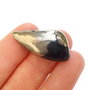 Cabochon apache gold