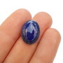 Cabochon  Lapis Lazuli  - L167
